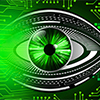 greeneyewriter